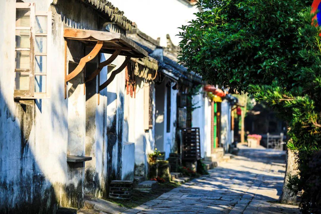 探寻奇趣冷知识的四川特产有哪些吃的可带走平台